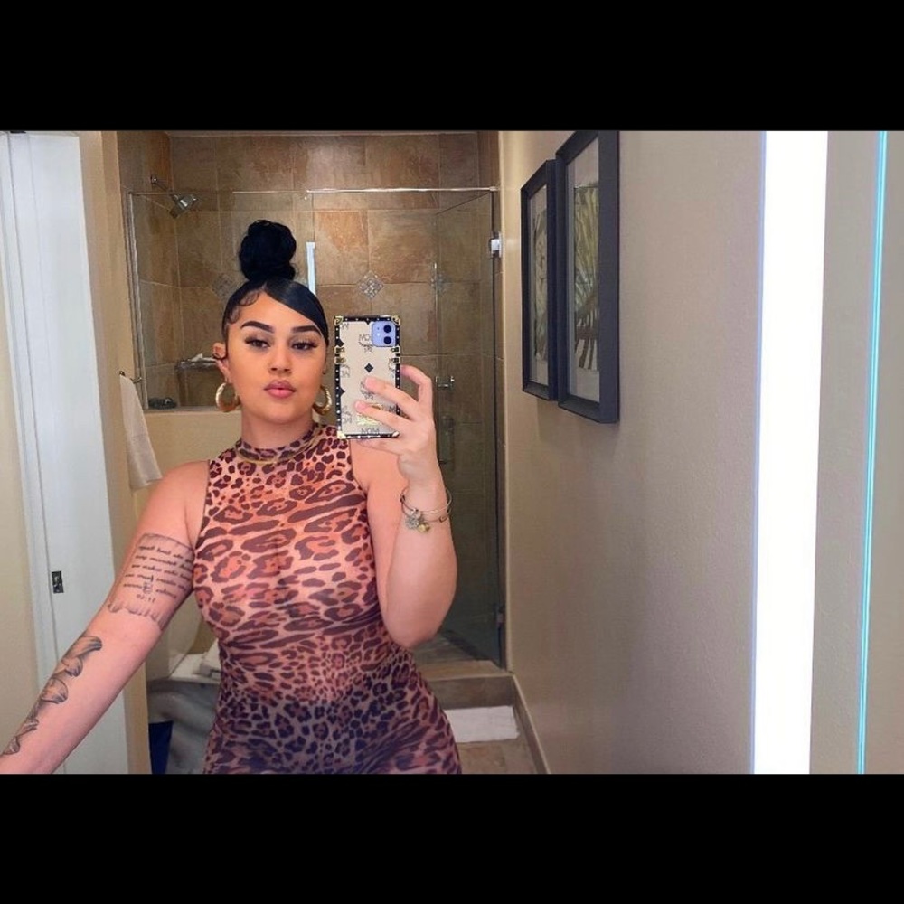 “Slick Cheetah” Mesh Dress